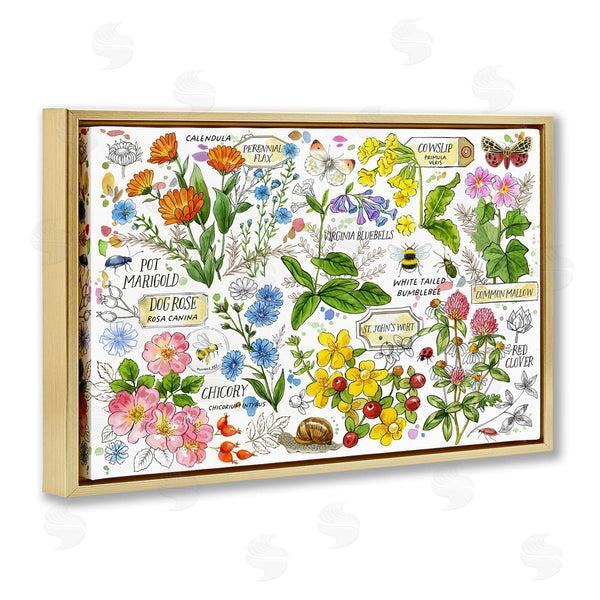 Stupell Industries Jane Maday | Various Herbs Benefits