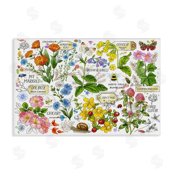 stupell industries Jane Maday | Various Herbs Benefits