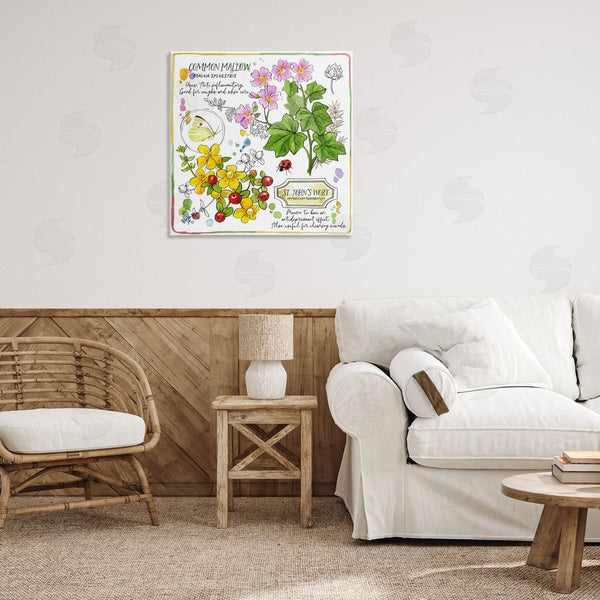 Stupell Industries Jane Maday | Wild Herbs Benefits Wall Art