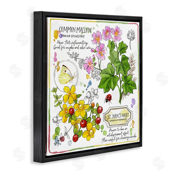 Stupell Industries Jane Maday | Wild Herbs Benefits Wall Art