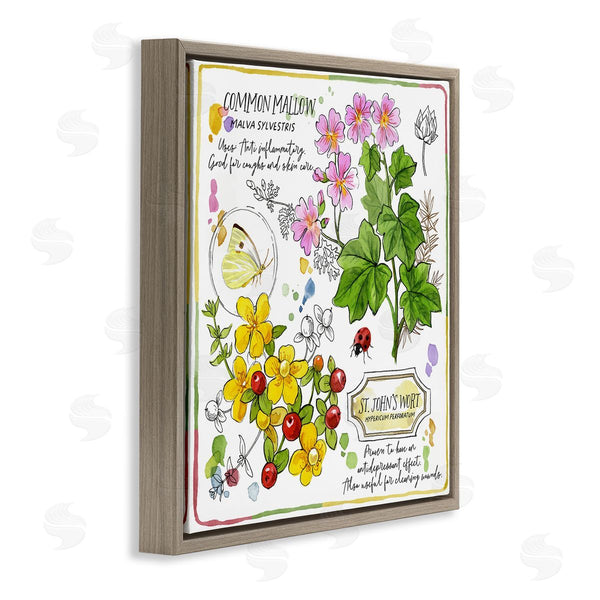 Stupell Industries Jane Maday | Wild Herbs Benefits Wall Art