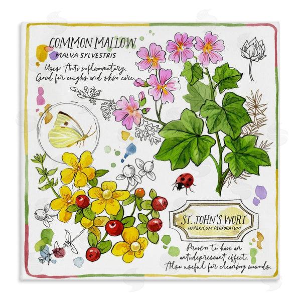 stupell industries Jane Maday | Wild Herbs Benefits Wall Art