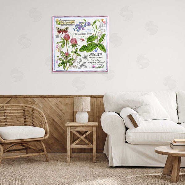 Stupell Industries Jane Maday | Wild Herbs Diagram Wall Art