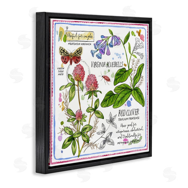 Stupell Industries Jane Maday | Wild Herbs Diagram Wall Art