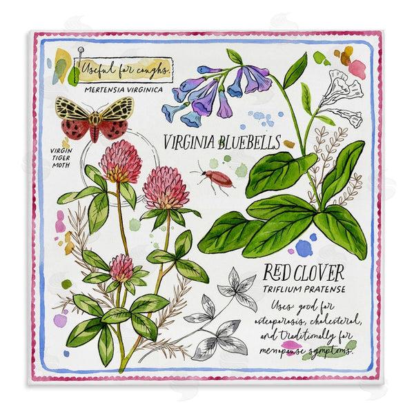 stupell industries Jane Maday | Wild Herbs Diagram Wall Art