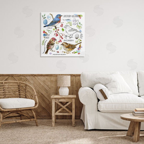 Stupell Industries Jane Maday | Woodland Birds Diagram Wall Art