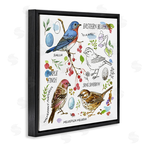 Stupell Industries Jane Maday | Woodland Birds Diagram Wall Art