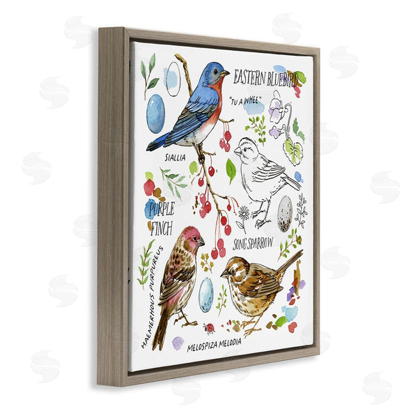 Stupell Industries Jane Maday | Woodland Birds Diagram Wall Art