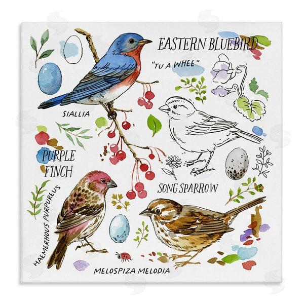 stupell industries Jane Maday | Woodland Birds Diagram Wall Art