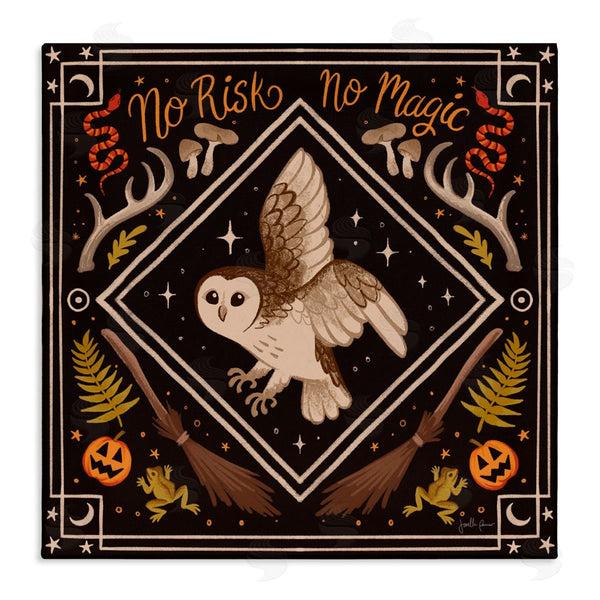 stupell industries Janelle Penner | No Risks or Magic Owl Wall Art