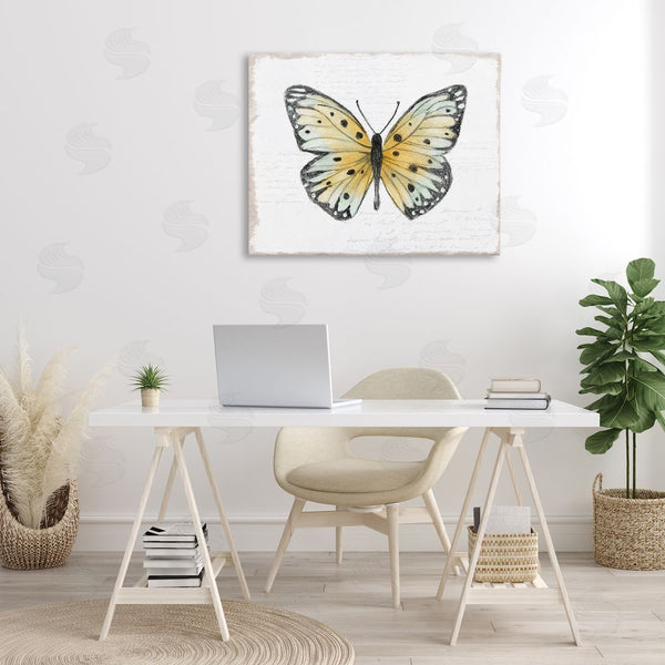 Stupell Industries Janet Tava | Beautiful Butterfly On White Wall Art