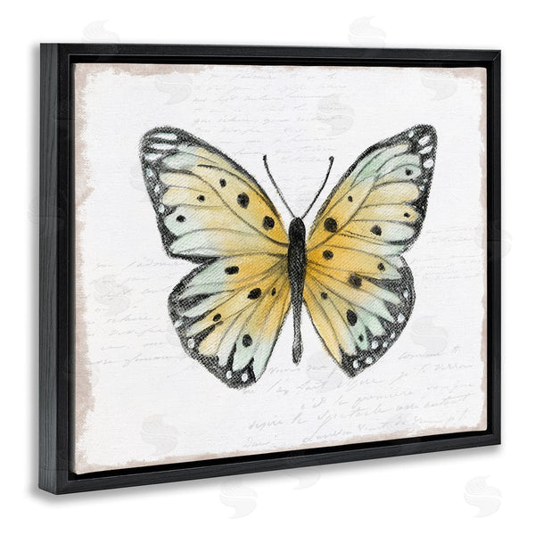Stupell Industries Janet Tava | Beautiful Butterfly On White Wall Art