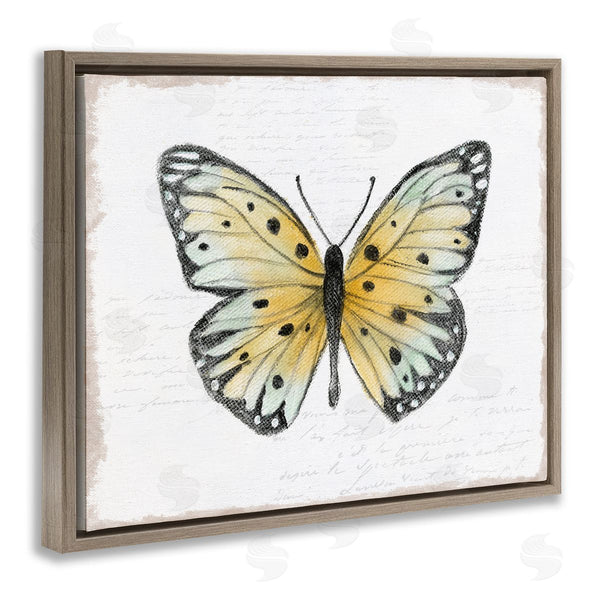 Stupell Industries Janet Tava | Beautiful Butterfly On White Wall Art