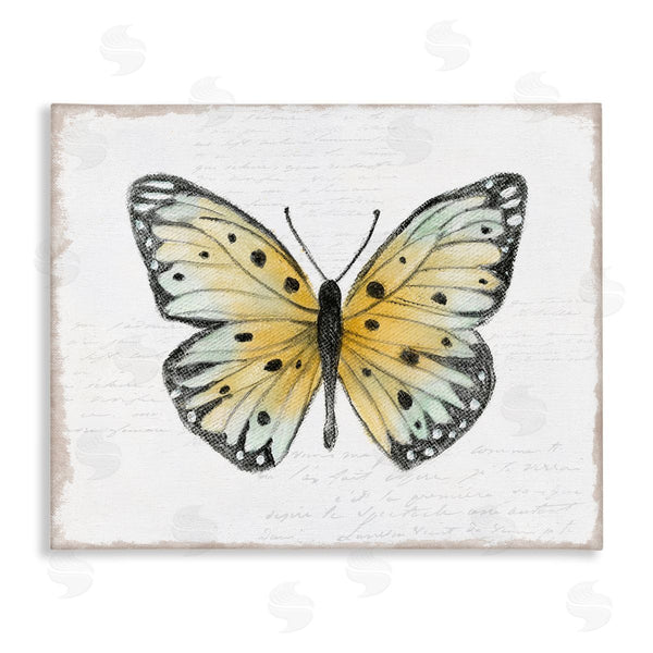 stupell industries Janet Tava | Beautiful Butterfly on White Wall Art