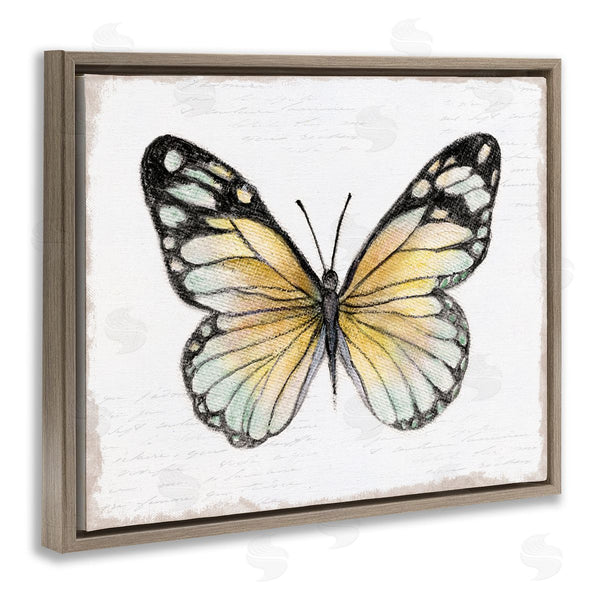 Stupell Industries Janet Tava | Country Butterfly On White Wall Art