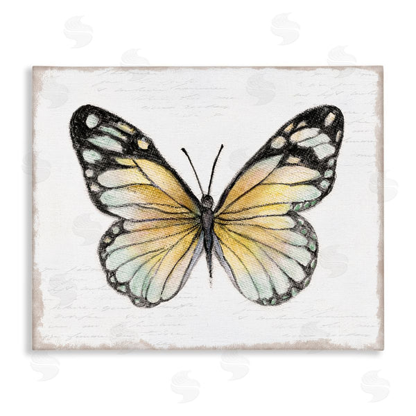 stupell industries Janet Tava | Country Butterfly on White Wall Art