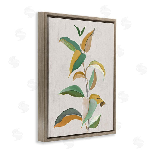 Stupell Industries Janet Tava | Modern Herb Leaves Wall Art