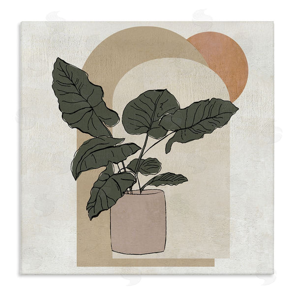 stupell industries Janet Tava | Potted Plant Arched Geometric Shapes Wall Art