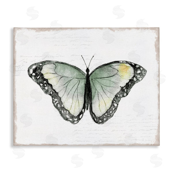 stupell industries Janet Tava | Simple Butterfly Visage Wall Art