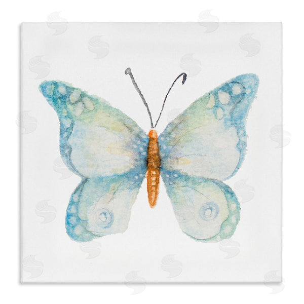 stupell industries Janice Gaynor | Elegant Blue Butterfly Insect Animal Watercolor Effect Wall Art
