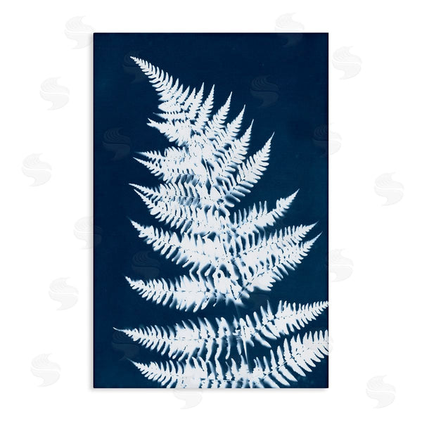 stupell industries Jason Johnson | Blue and White Fern Wall Art