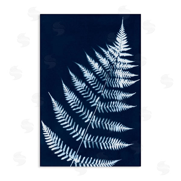 stupell industries Jason Johnson | Blue Fern Impression Wall Art