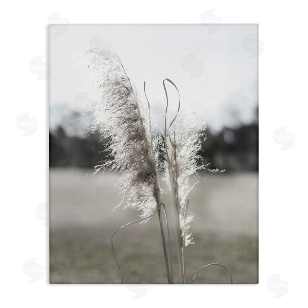 stupell industries Jason Johnson | Close Up Wheat Sprig