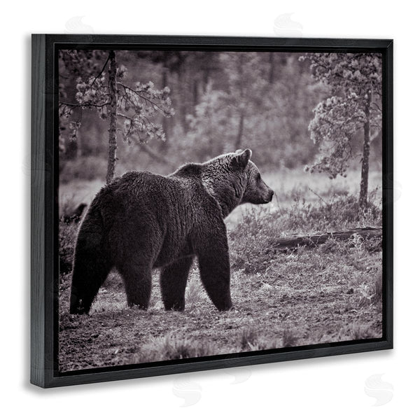 Stupell Industries Jasper Huish | Bear Stepping In Forest Wall Art