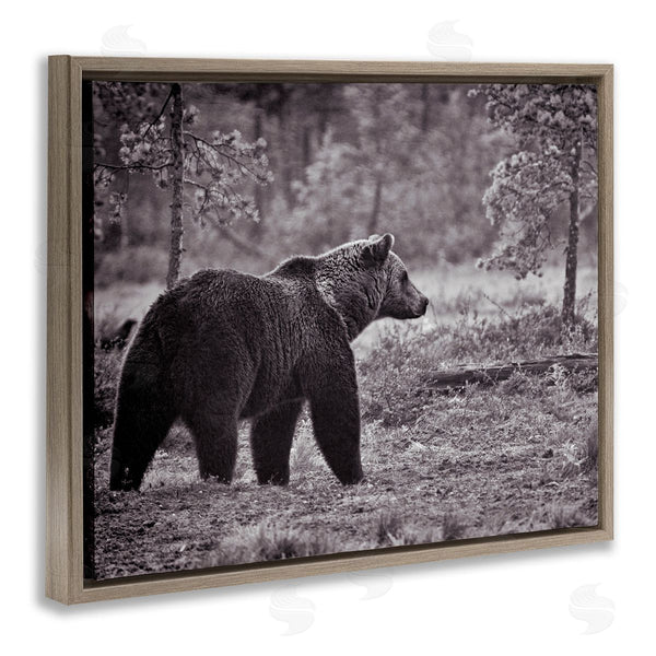 Stupell Industries Jasper Huish | Bear Stepping In Forest Wall Art