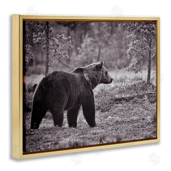 Stupell Industries Jasper Huish | Bear Stepping In Forest Wall Art