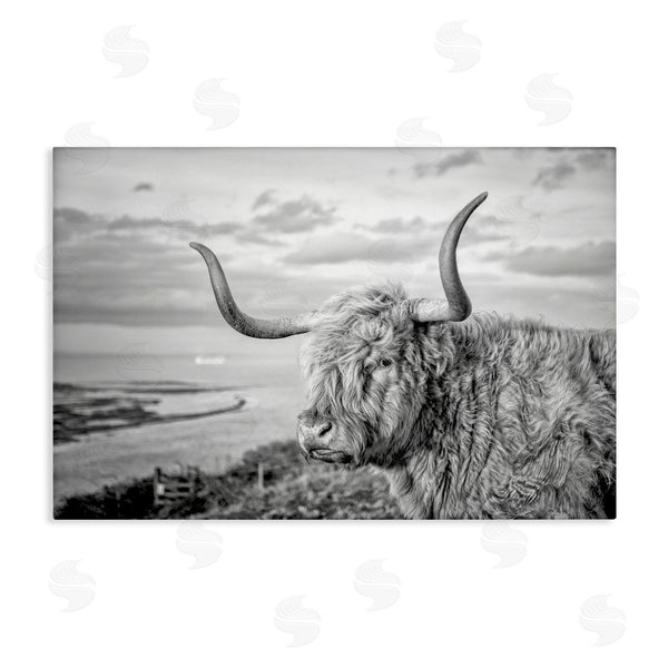 stupell industries Jasper Huish | Cattle with Ocean Breeze