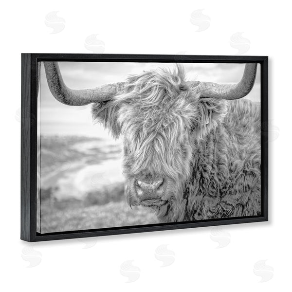 Stupell Industries Jasper Huish | Close Up Fuzzy Cattle