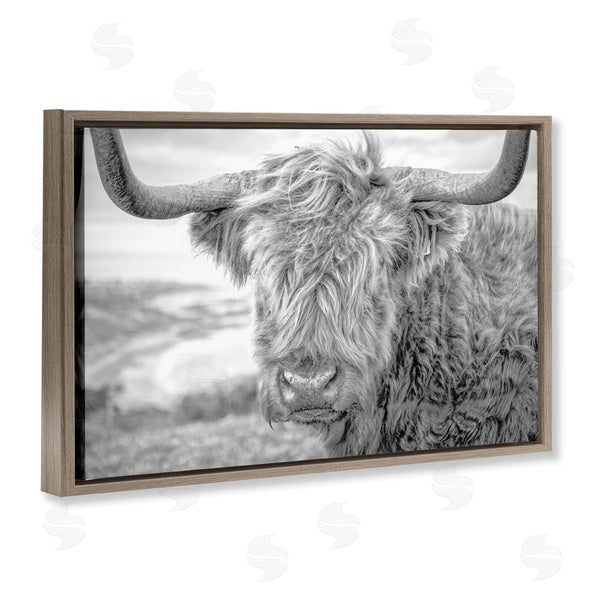 Stupell Industries Jasper Huish | Close Up Fuzzy Cattle