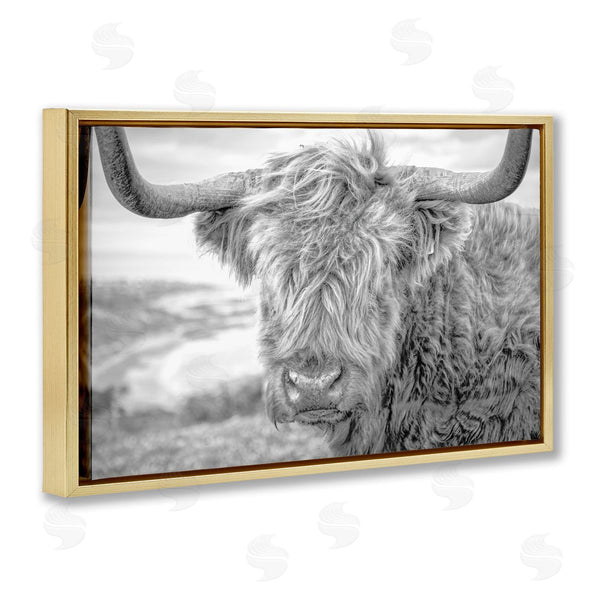 Stupell Industries Jasper Huish | Close Up Fuzzy Cattle