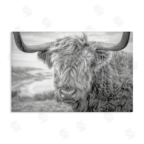 stupell industries Jasper Huish | Close Up Fuzzy Cattle