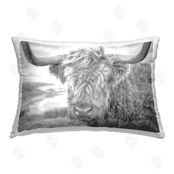 stupell industries Jasper Huish | Close Up Fuzzy Cattle