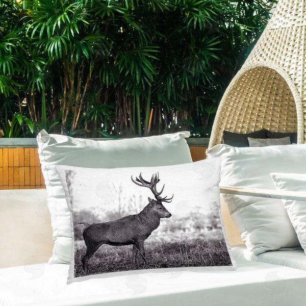 Stupell Industries Jasper Huish | Elk In Peaceful Forest
