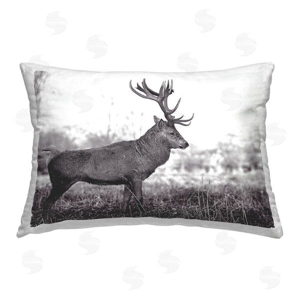 stupell industries Jasper Huish | Elk in Peaceful Forest
