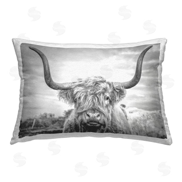 Stupell Industries Jasper Huish | Highland Cattle View