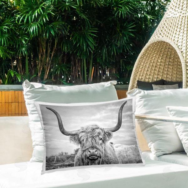 Stupell Industries Jasper Huish | Highland Cattle View