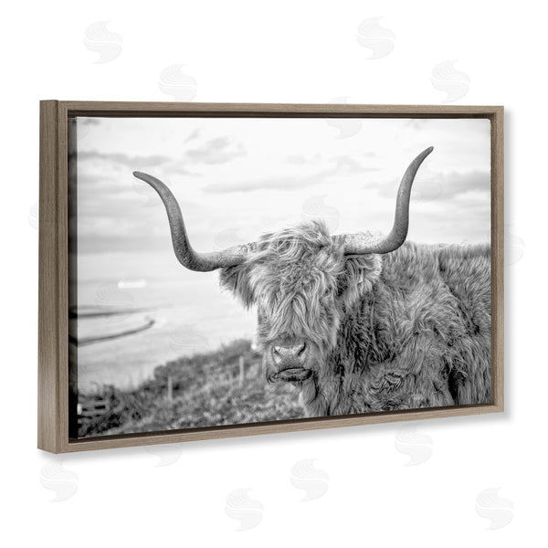 Stupell Industries Jasper Huish | Traditional Fuzzy Cattle