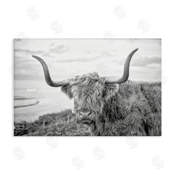 stupell industries Jasper Huish | Traditional Fuzzy Cattle
