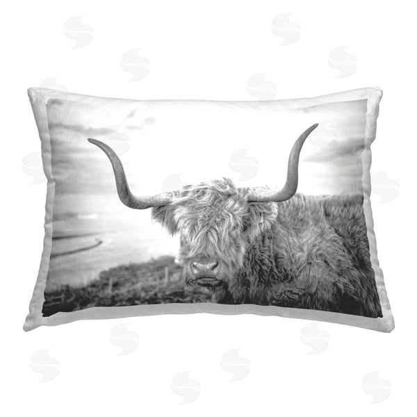 stupell industries Jasper Huish | Traditional Fuzzy Cattle