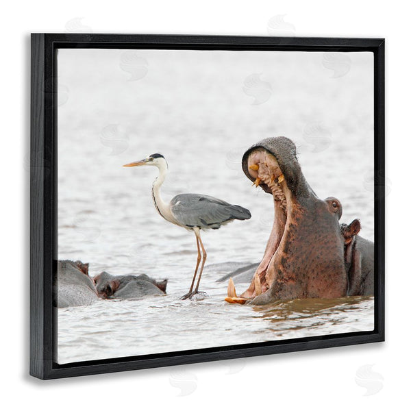 Stupell Industries Jean Jacques Alcalay | Hippo & Heron Photography Wall Art