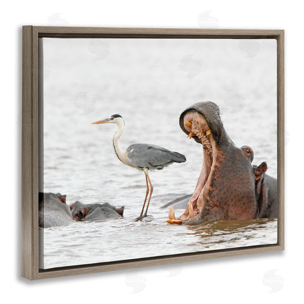 Stupell Industries Jean Jacques Alcalay | Hippo & Heron Photography Wall Art