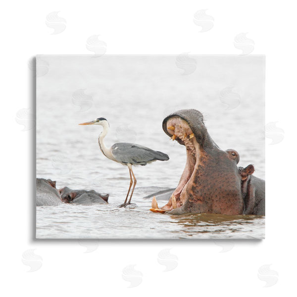 stupell industries Jean Jacques Alcalay | Hippo & Heron Photography Wall Art