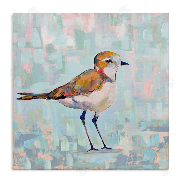 stupell industries Jeanette Vertentes | Coastal Plover Nautical Bird Wall Art