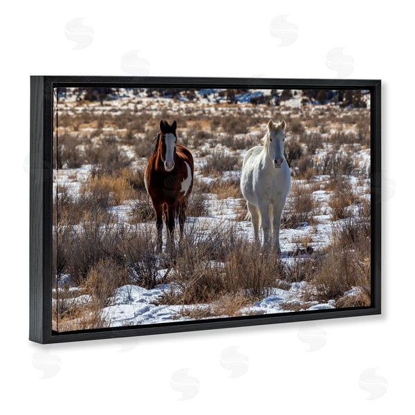 Stupell Industries Jeff Poe Photography | Arches Horse Pair In Snow Wall Art