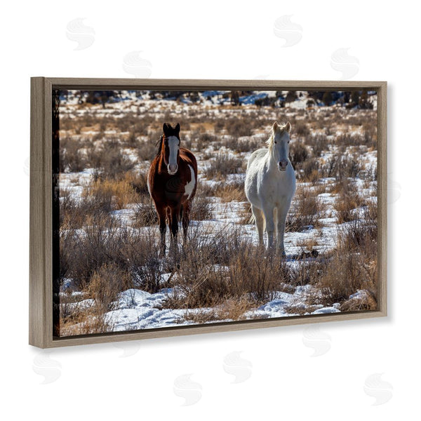 Stupell Industries Jeff Poe Photography | Arches Horse Pair In Snow Wall Art
