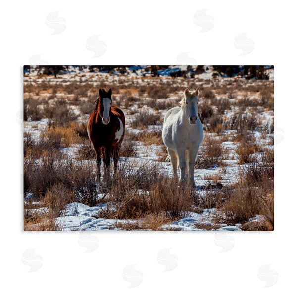 stupell industries Jeff Poe Photography | Arches Horse Pair in Snow Wall Art